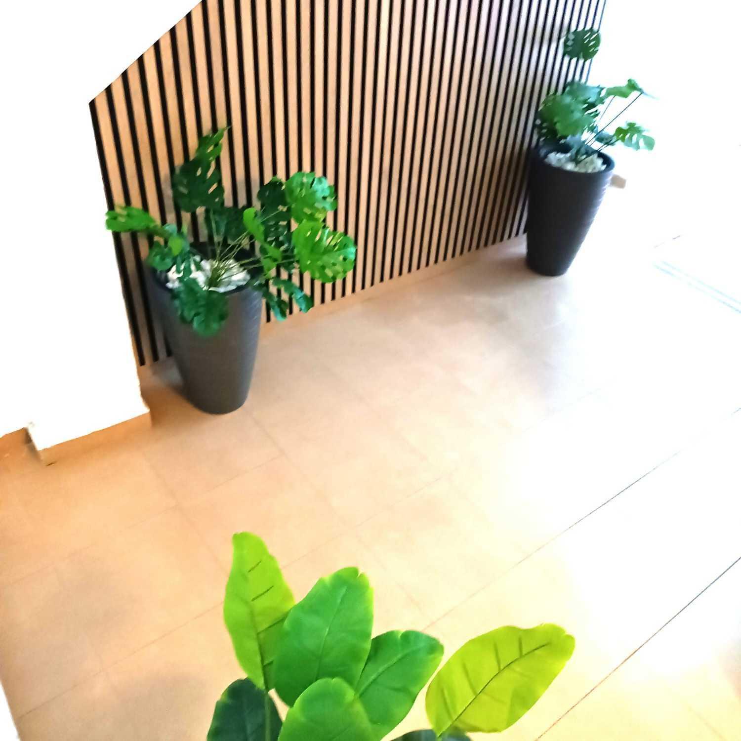 Apartamentos Larios Málaga Extérieur photo