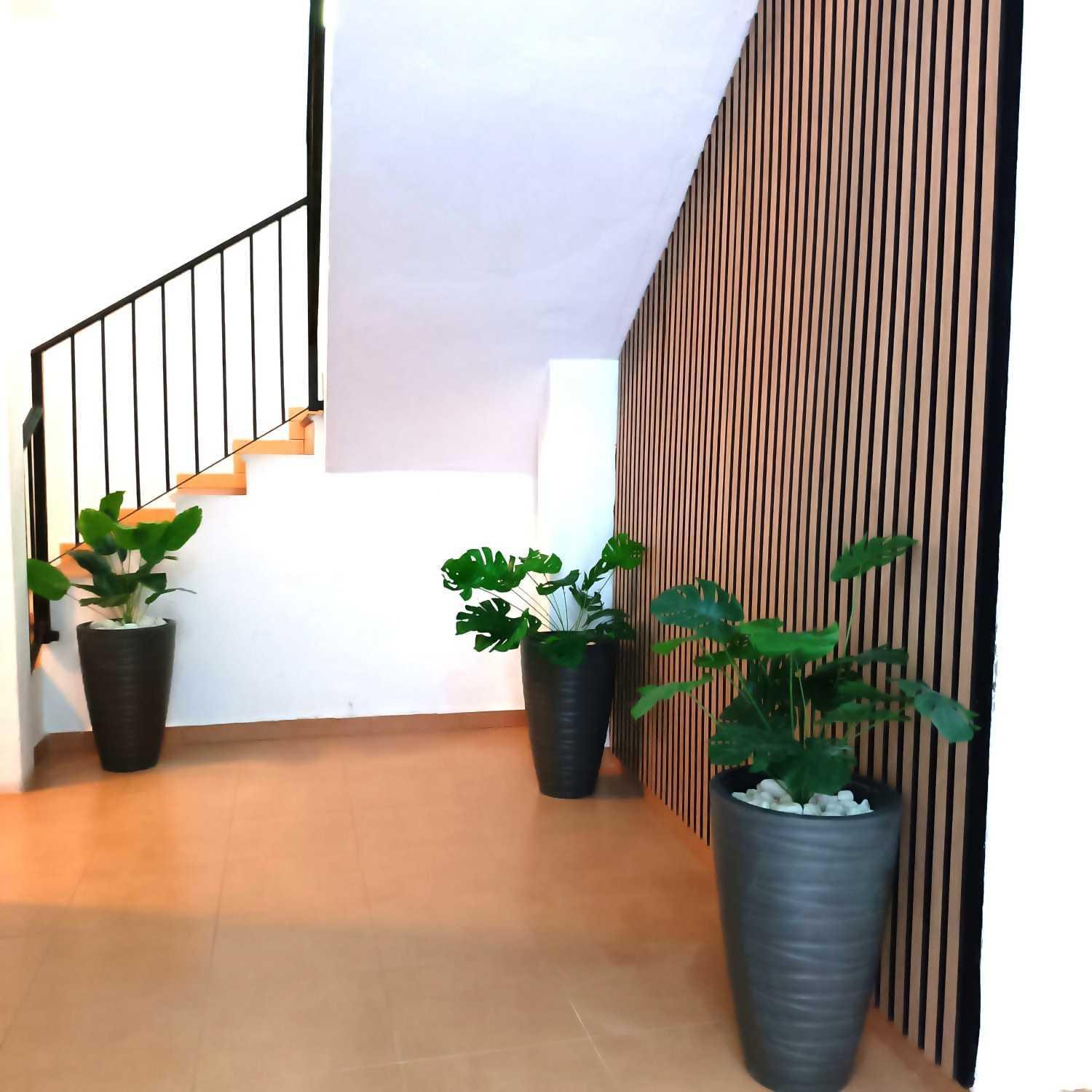 Apartamentos Larios Málaga Extérieur photo